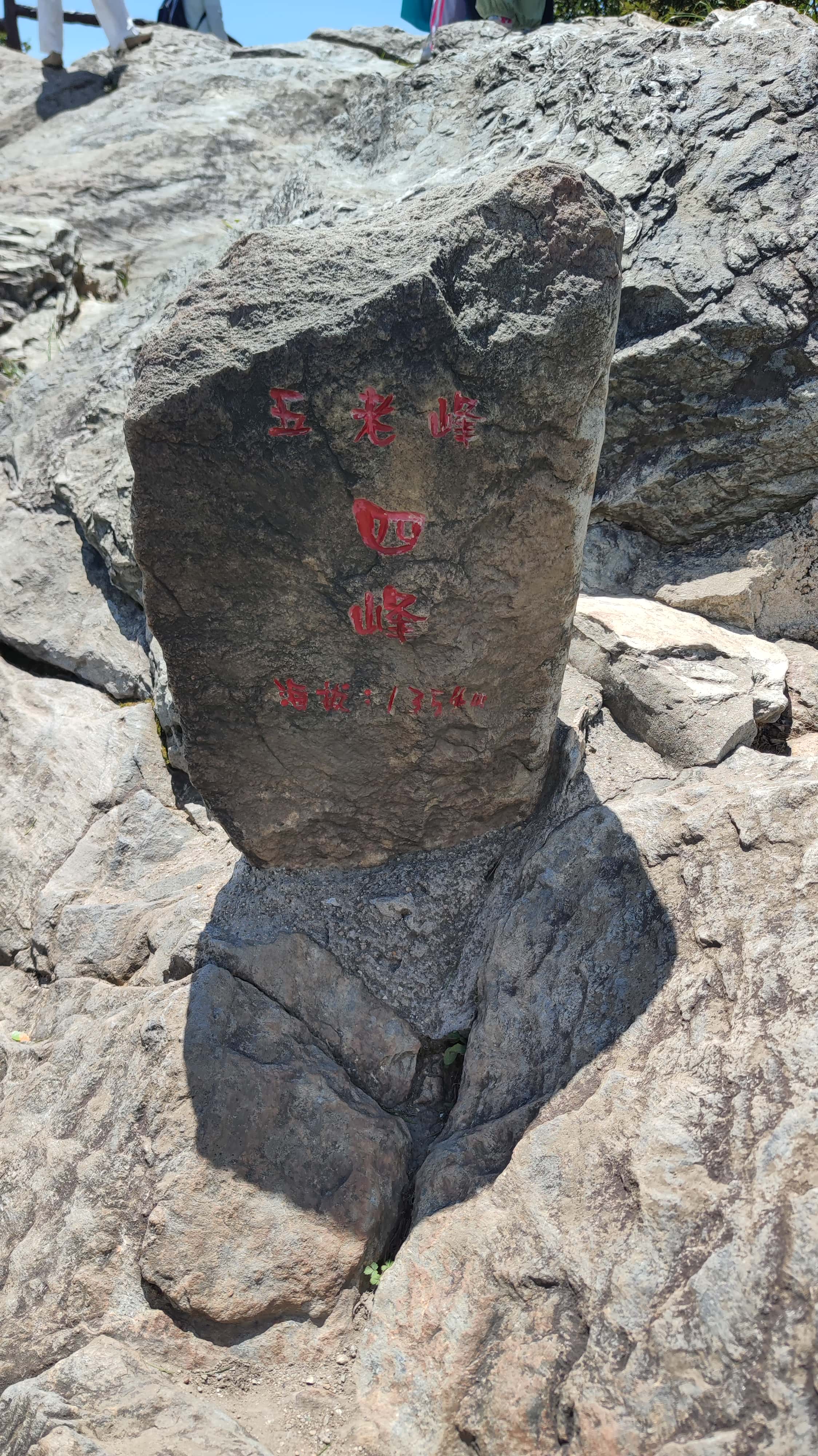 MVIMG_20250710_103004