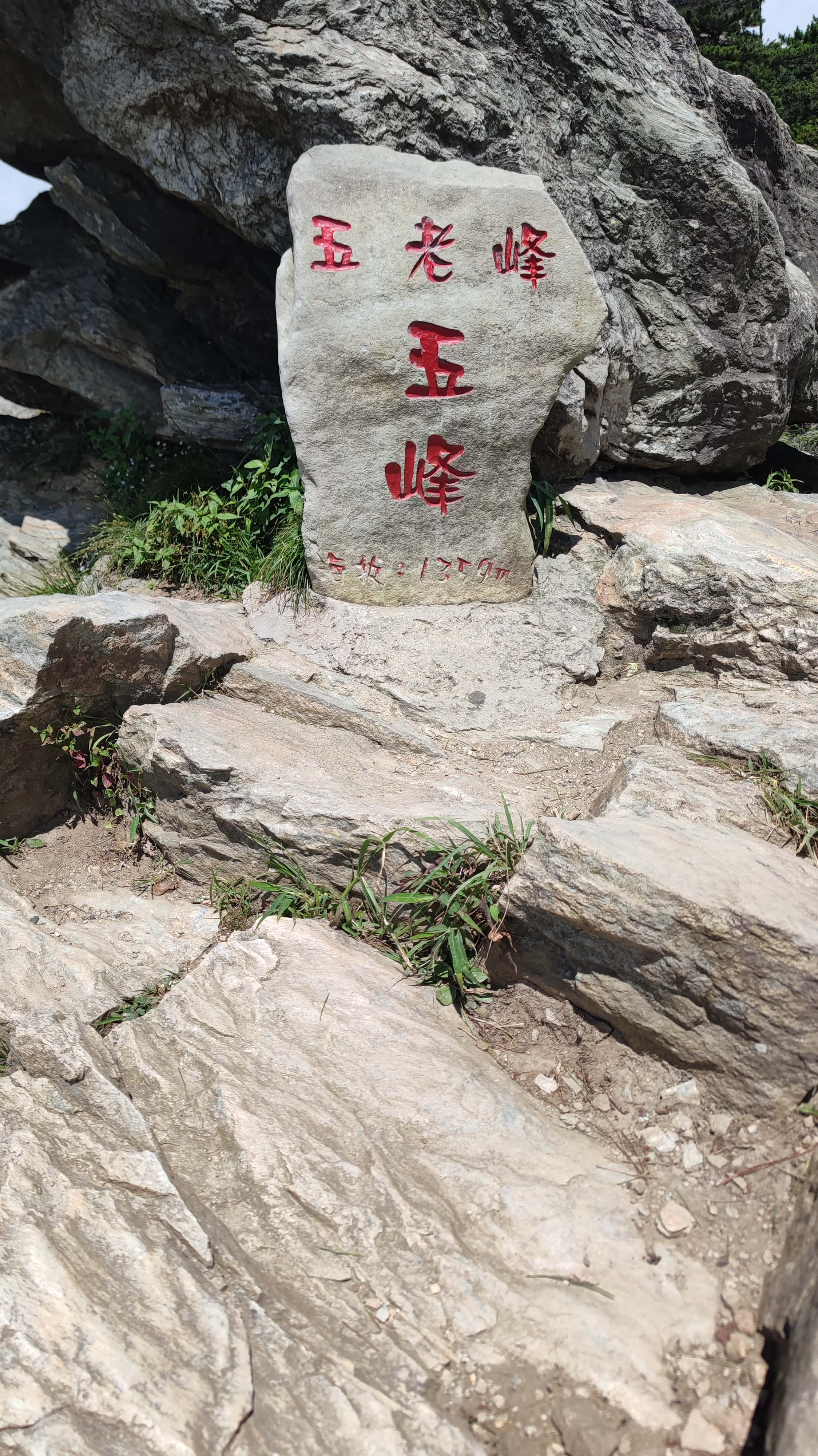 MVIMG_20250710_105601