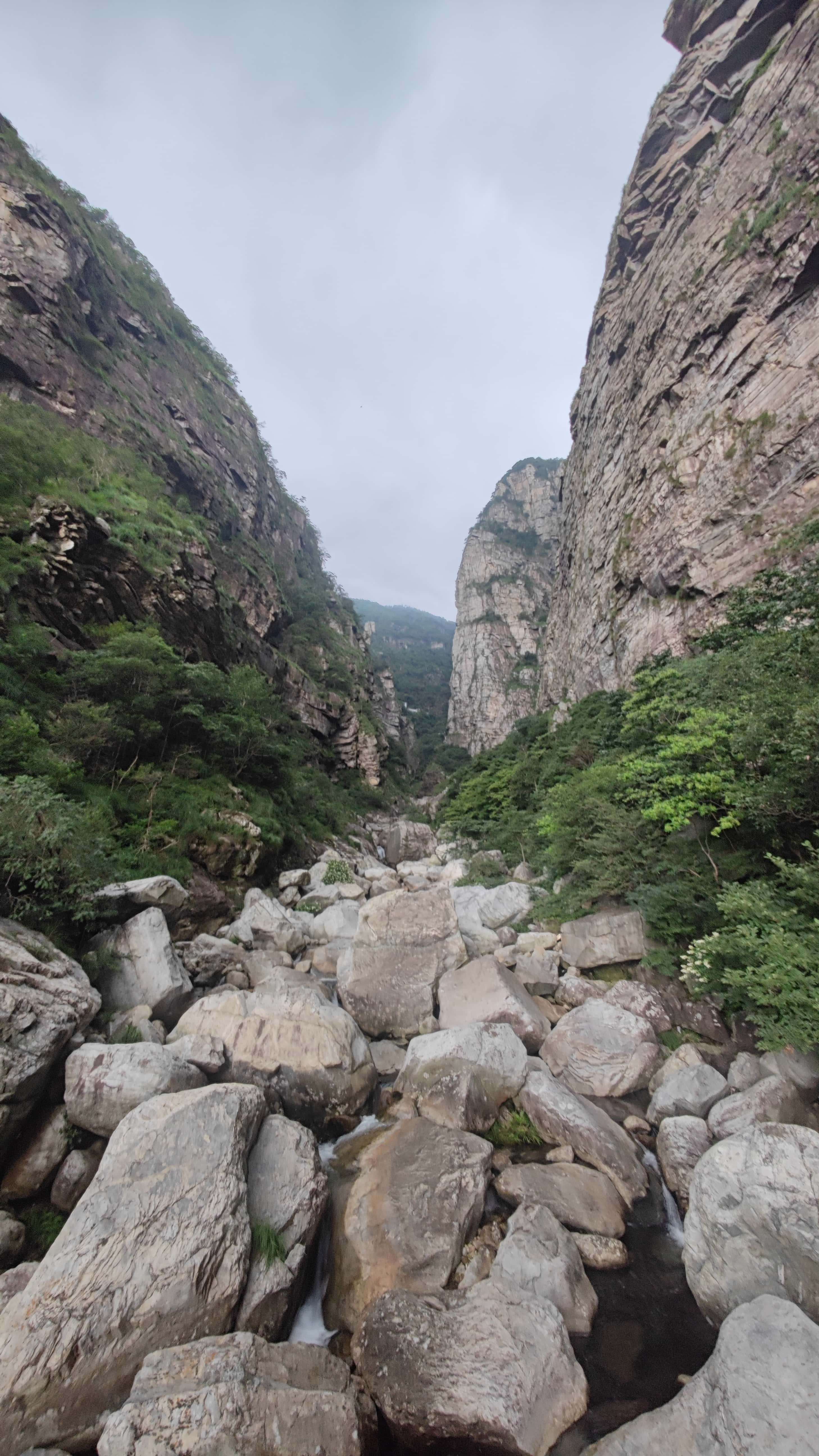 MVIMG_20250710_130558