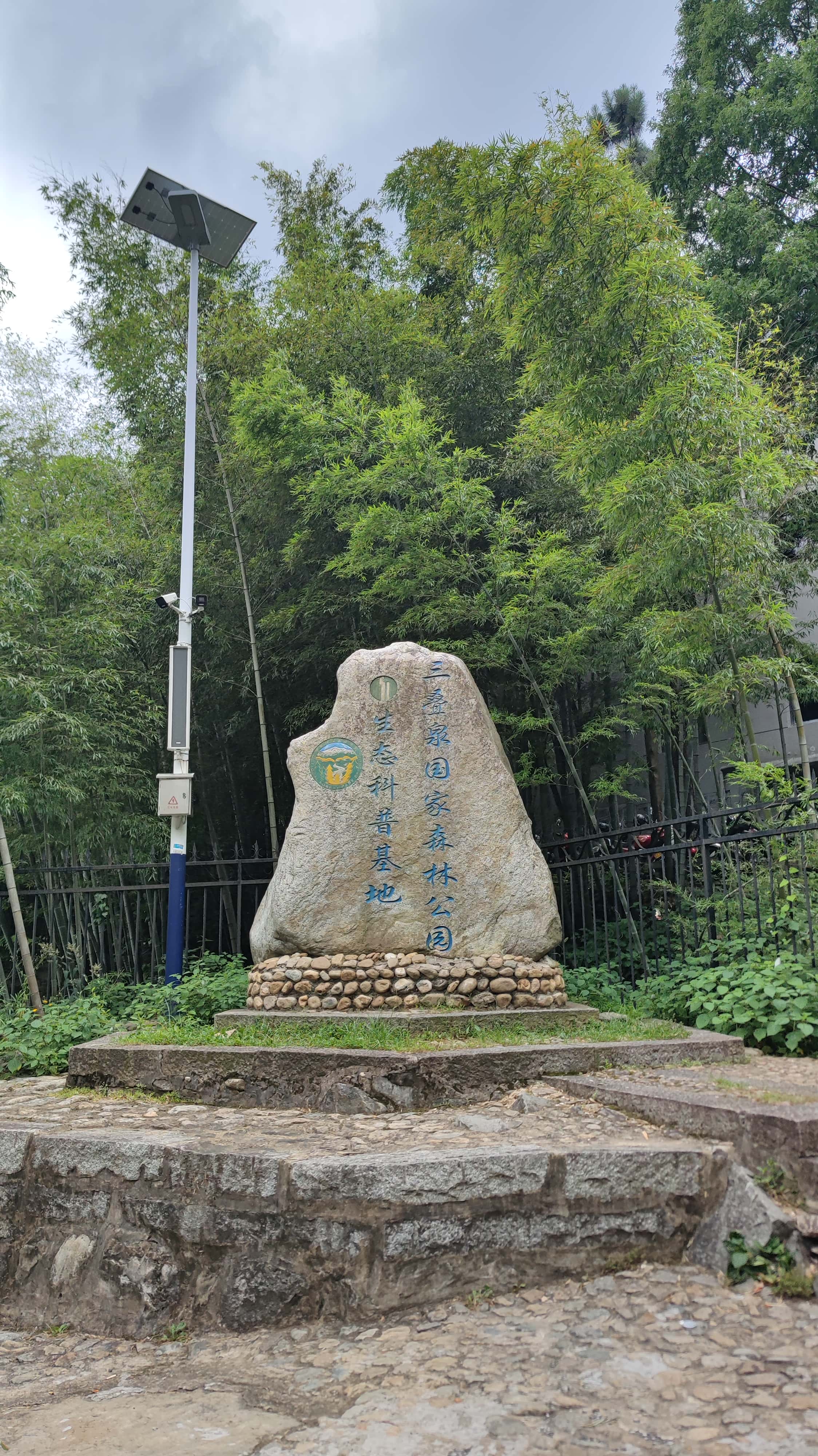 MVIMG_20250710_132950_1