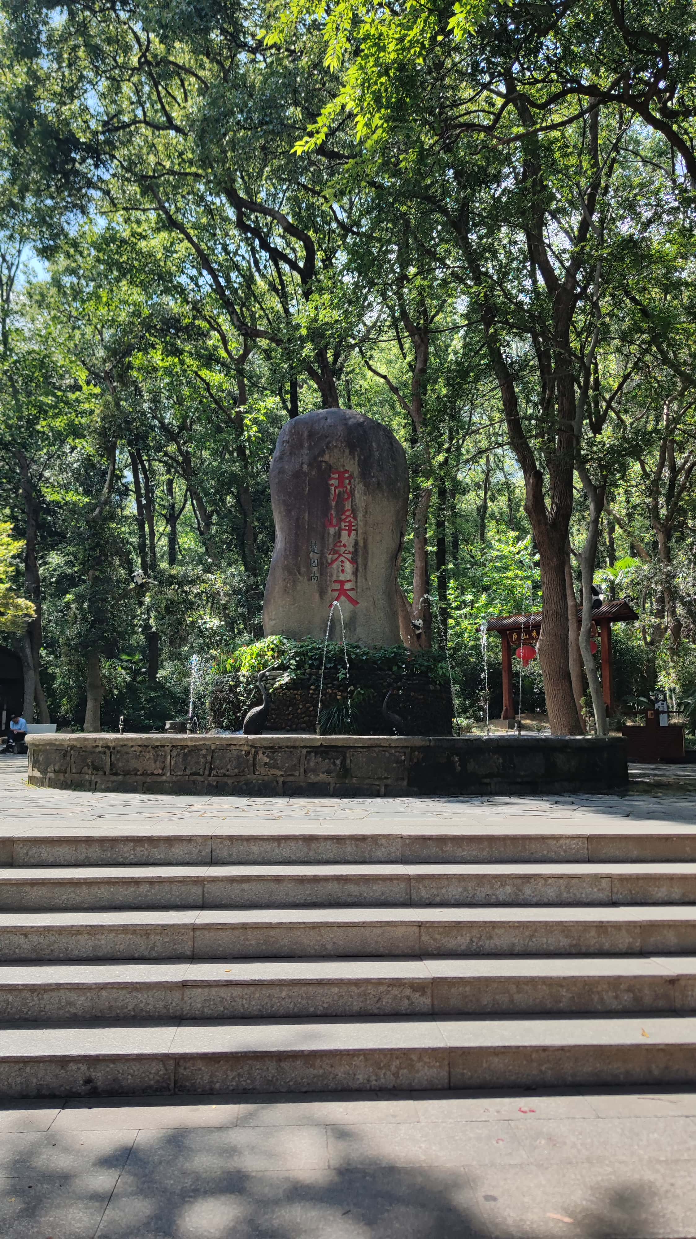 MVIMG_20250710_145429