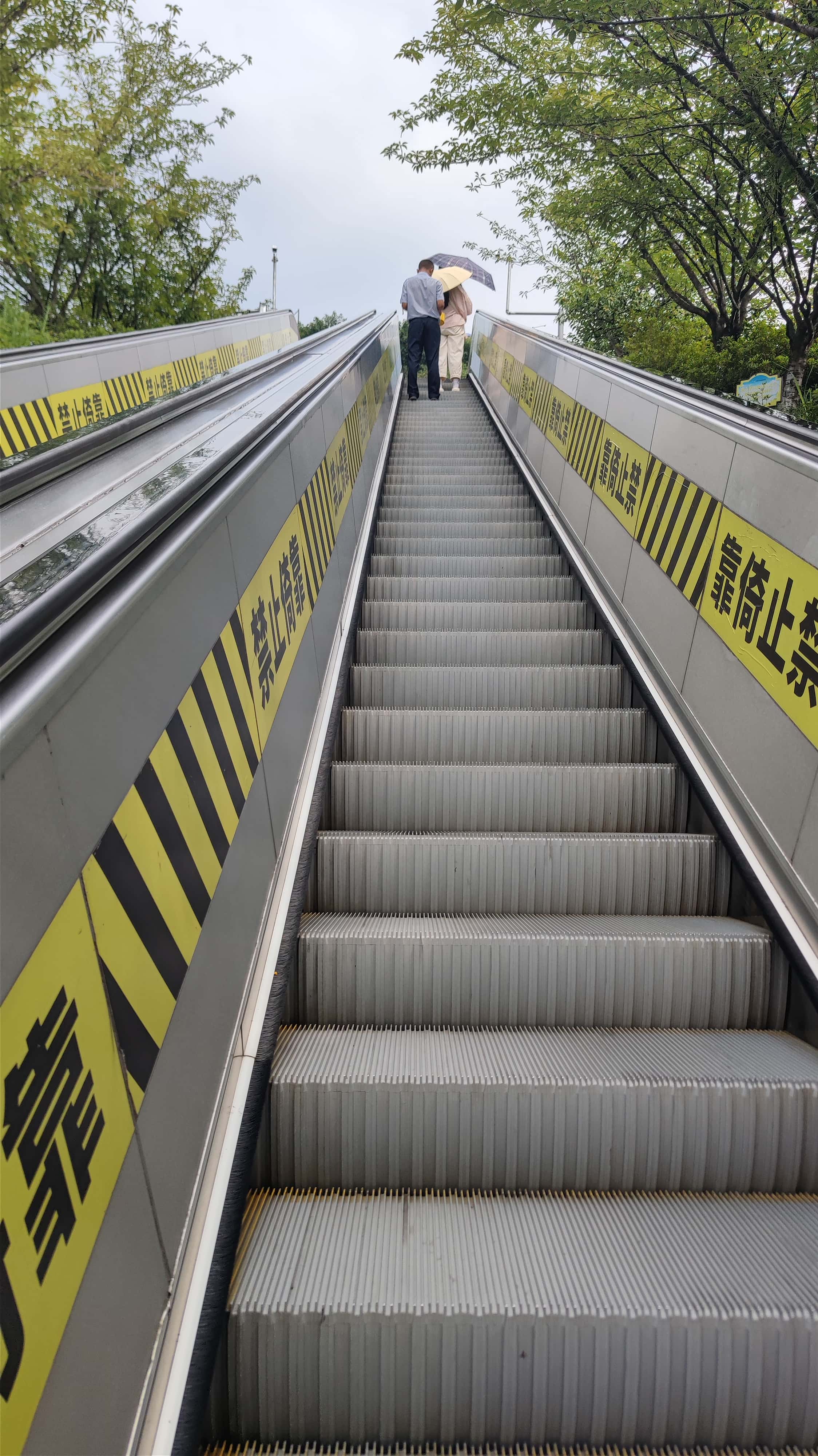 MVIMG_20250711_104356