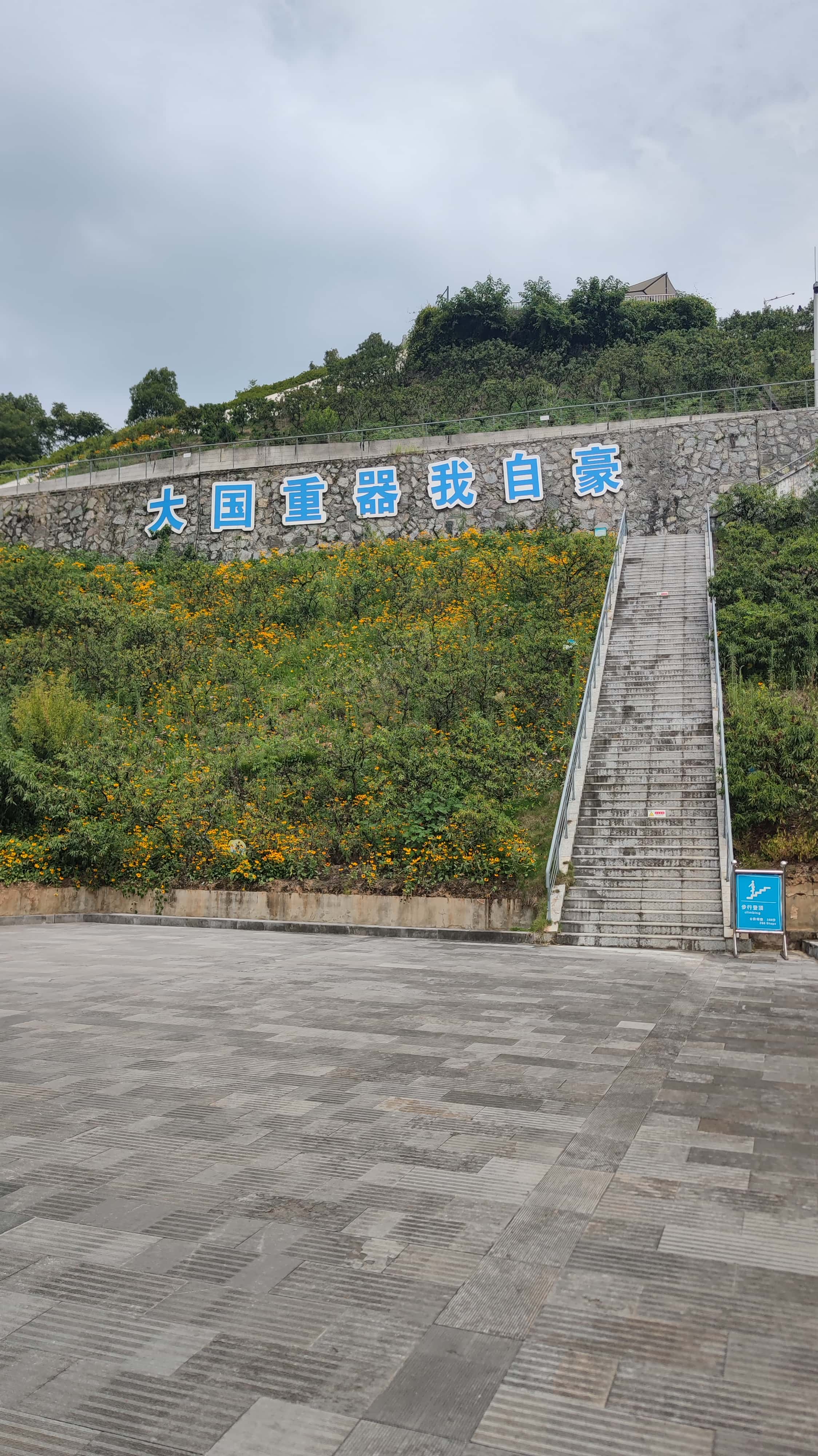 MVIMG_20250711_104437