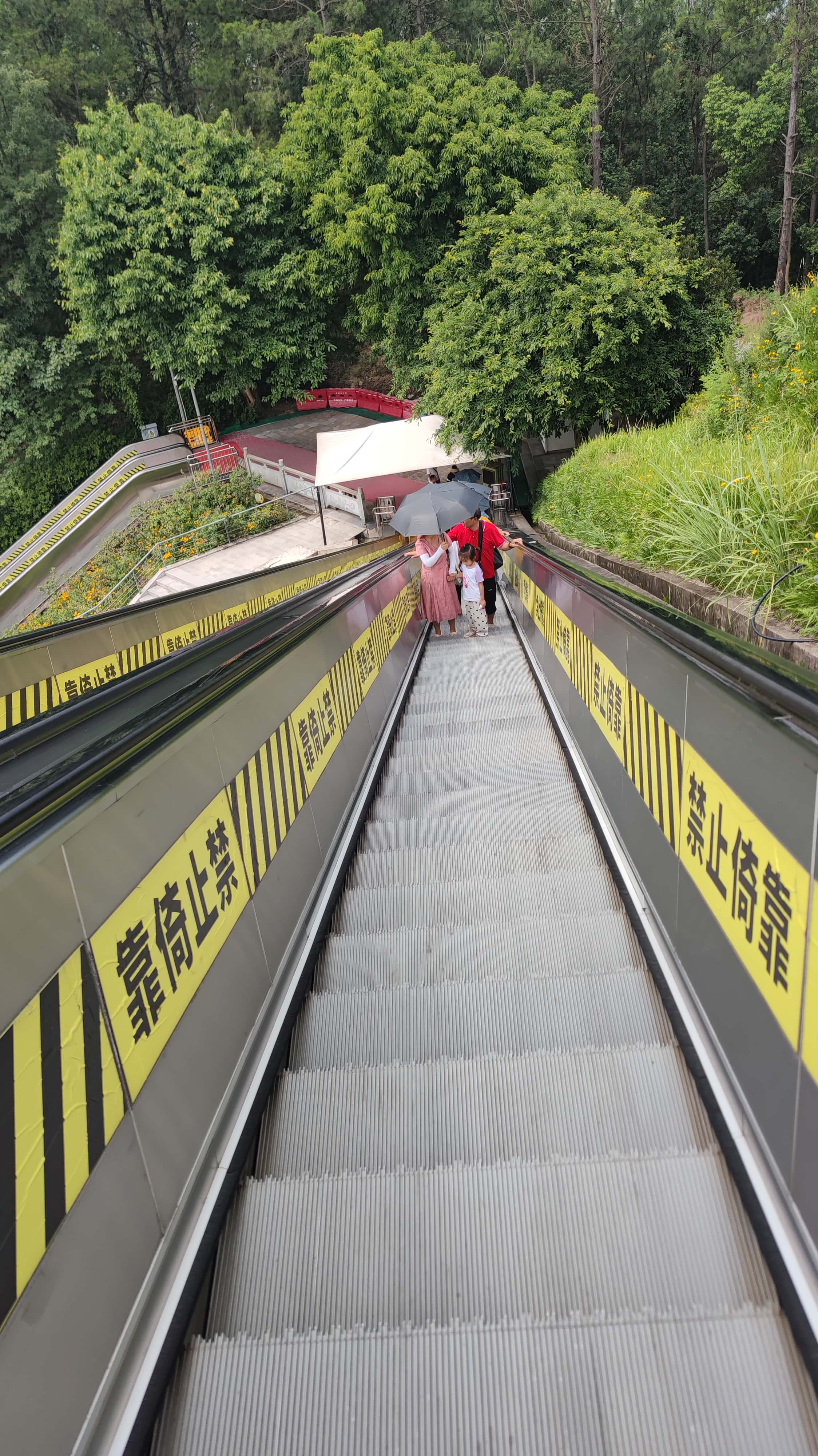 MVIMG_20250711_104713