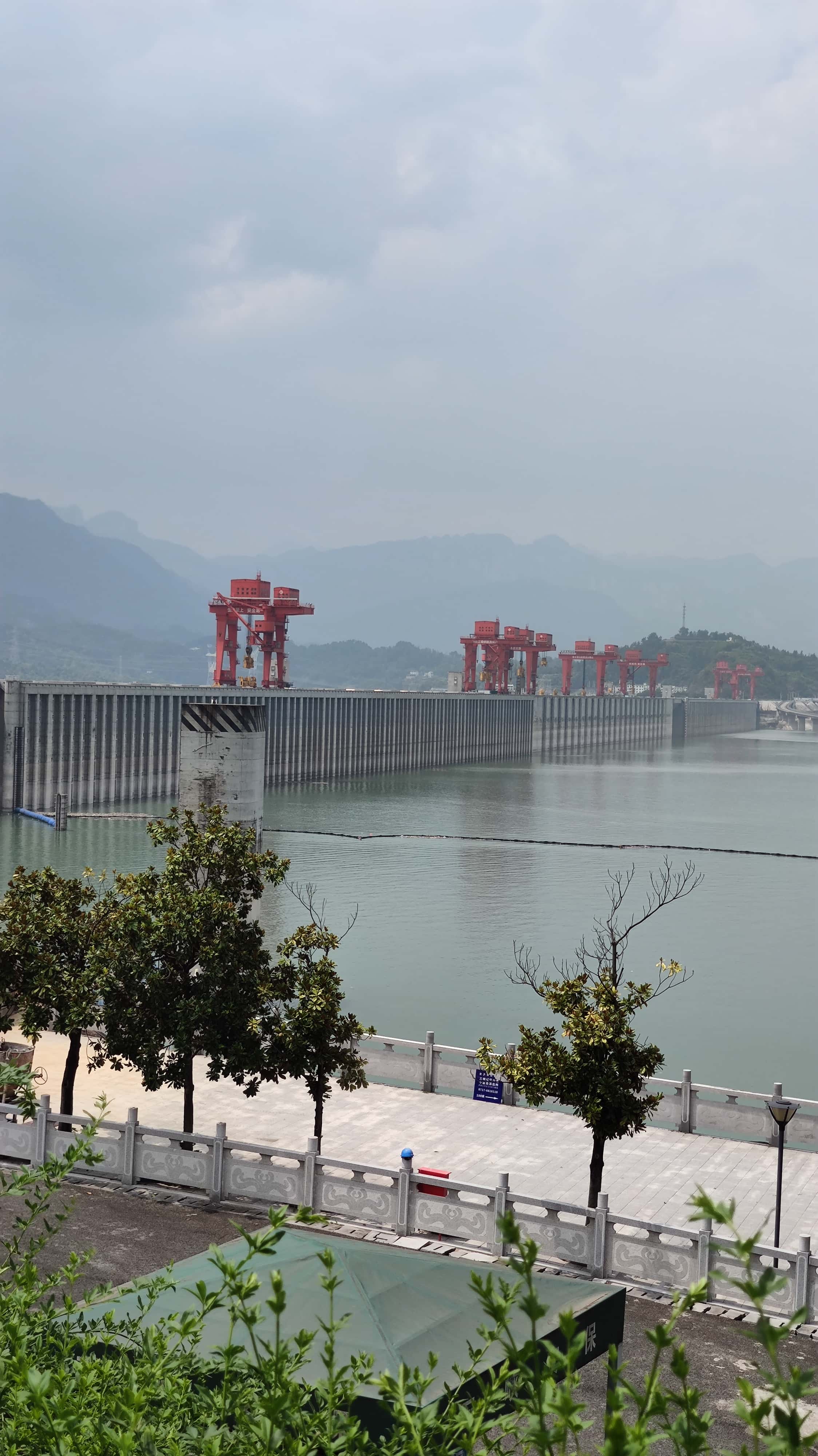 MVIMG_20250711_113152