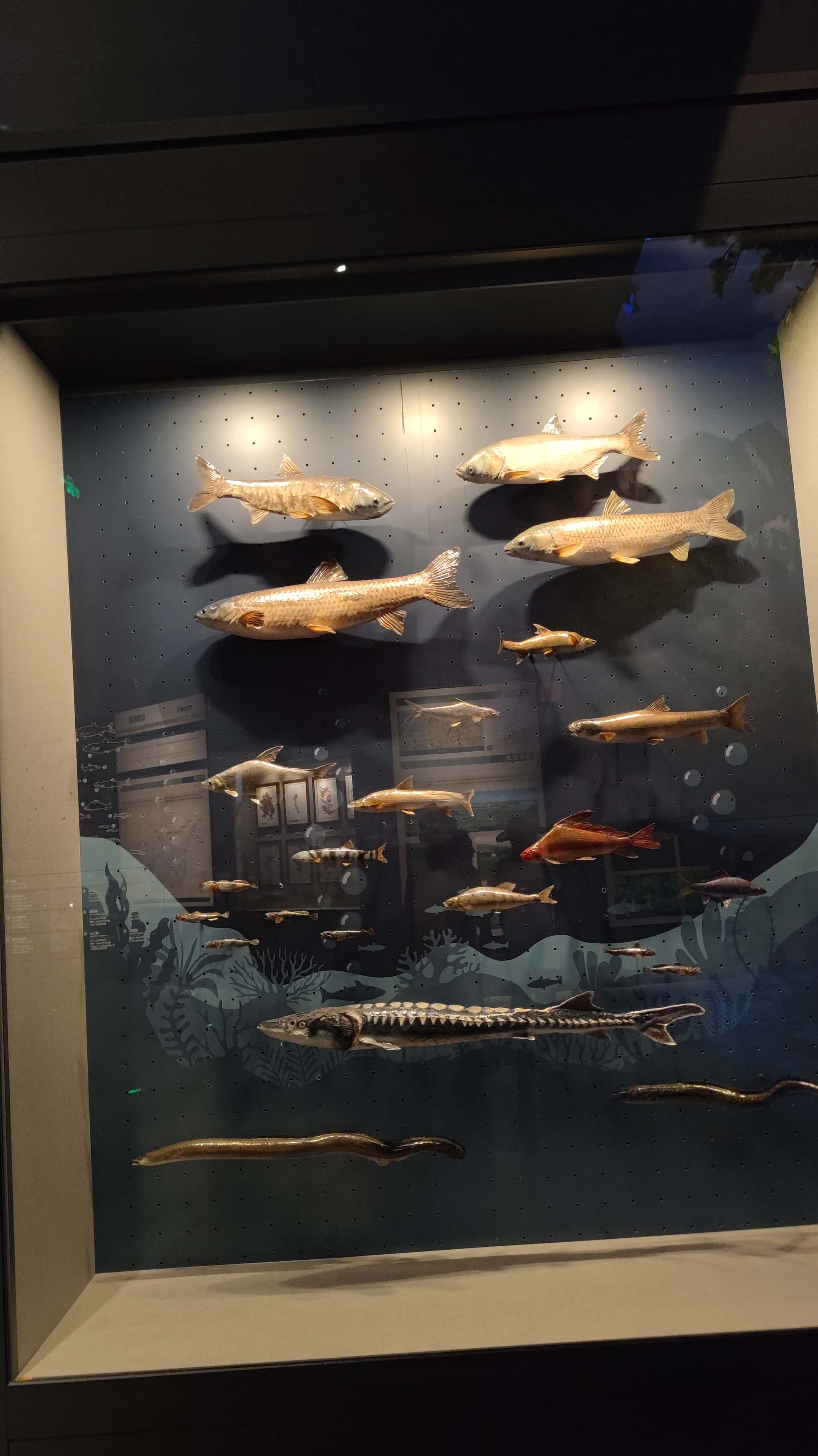 MVIMG_20250711_121710