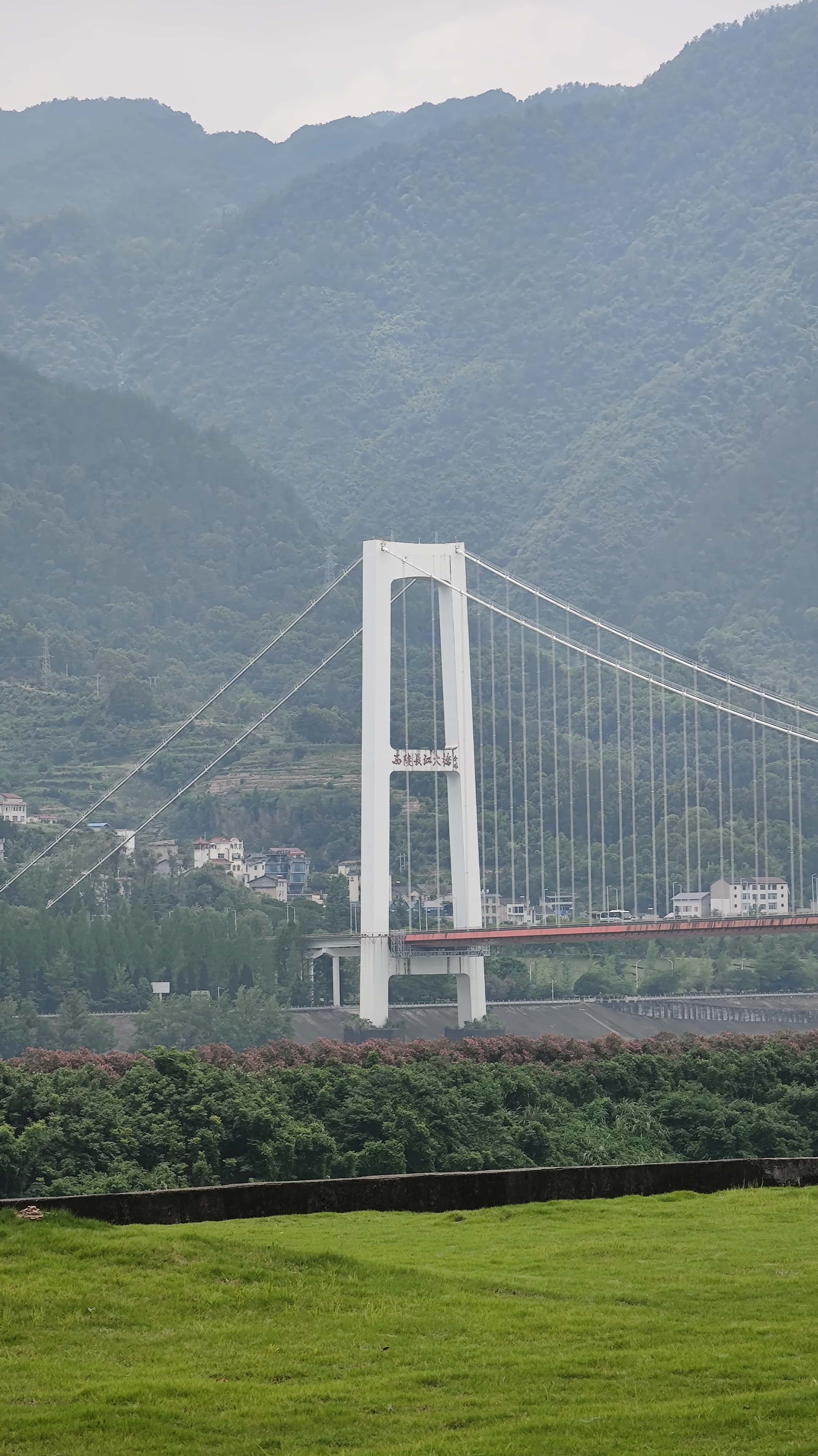 MVIMG_20250711_131627