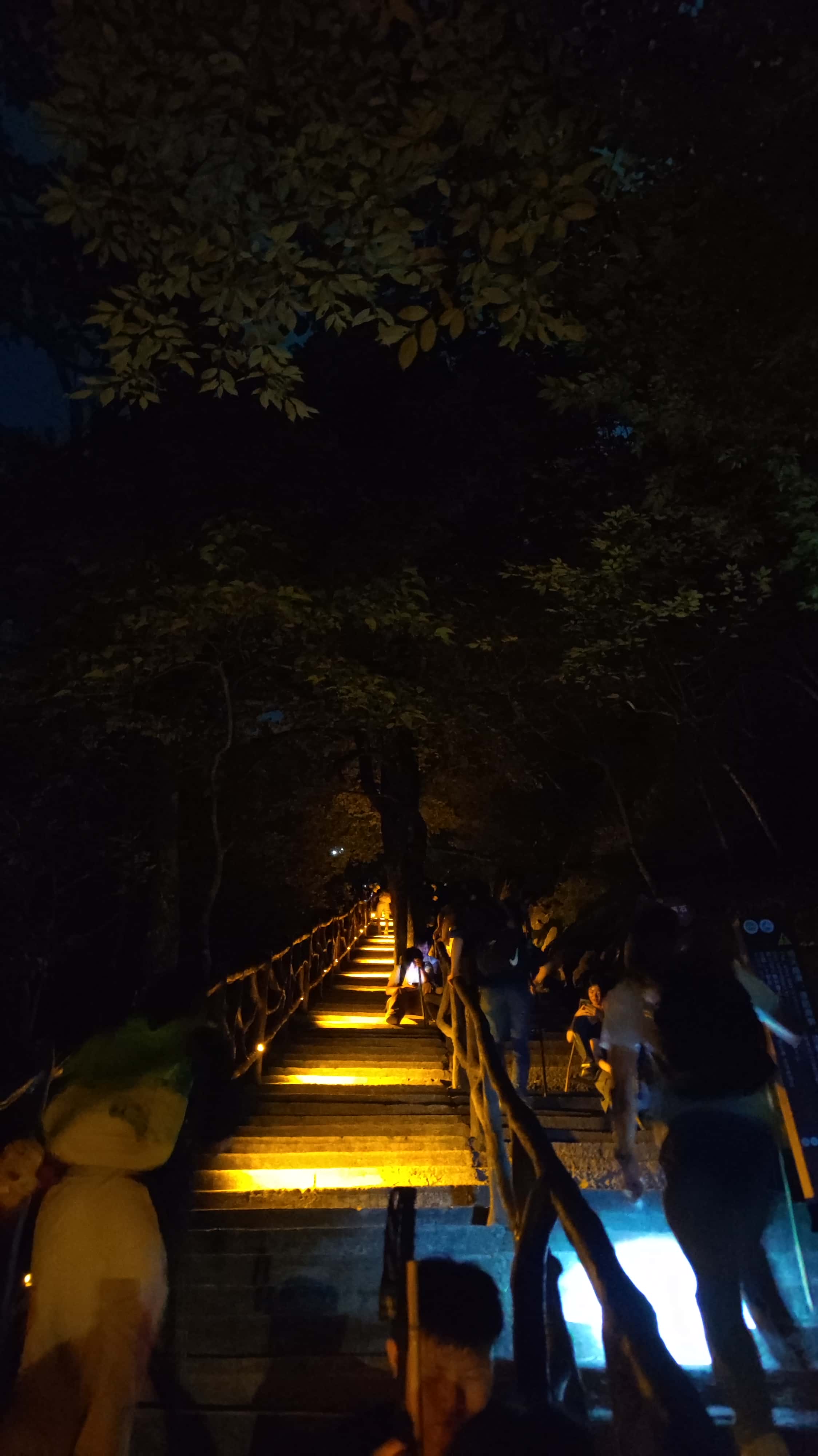 MVIMG_20250810_003526