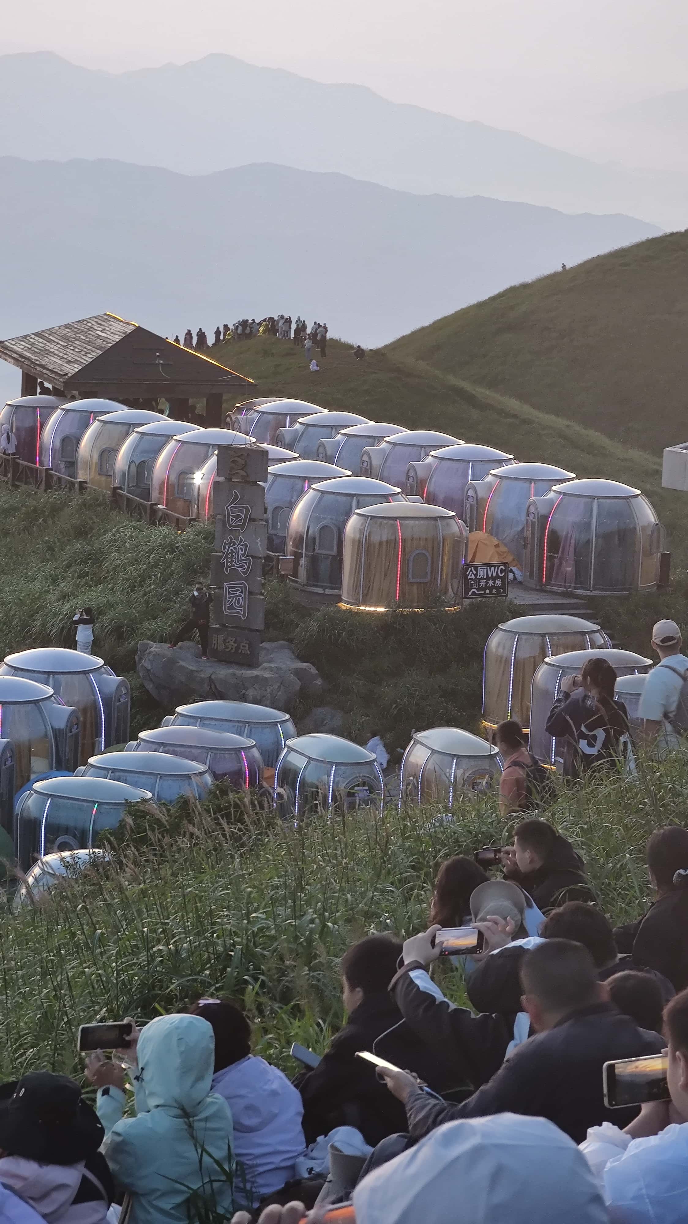 MVIMG_20250810_055240