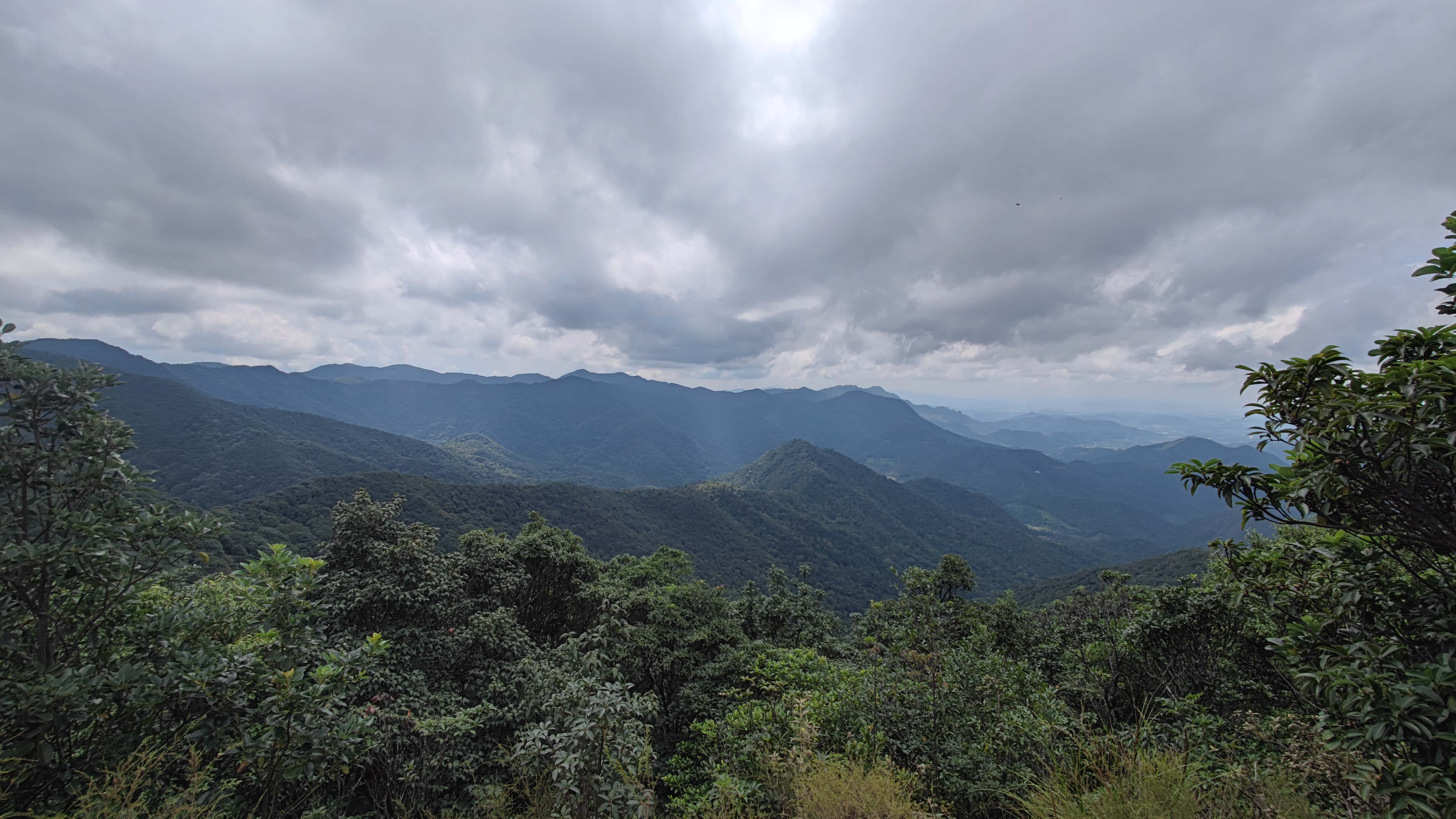 MVIMG_20251012_121950