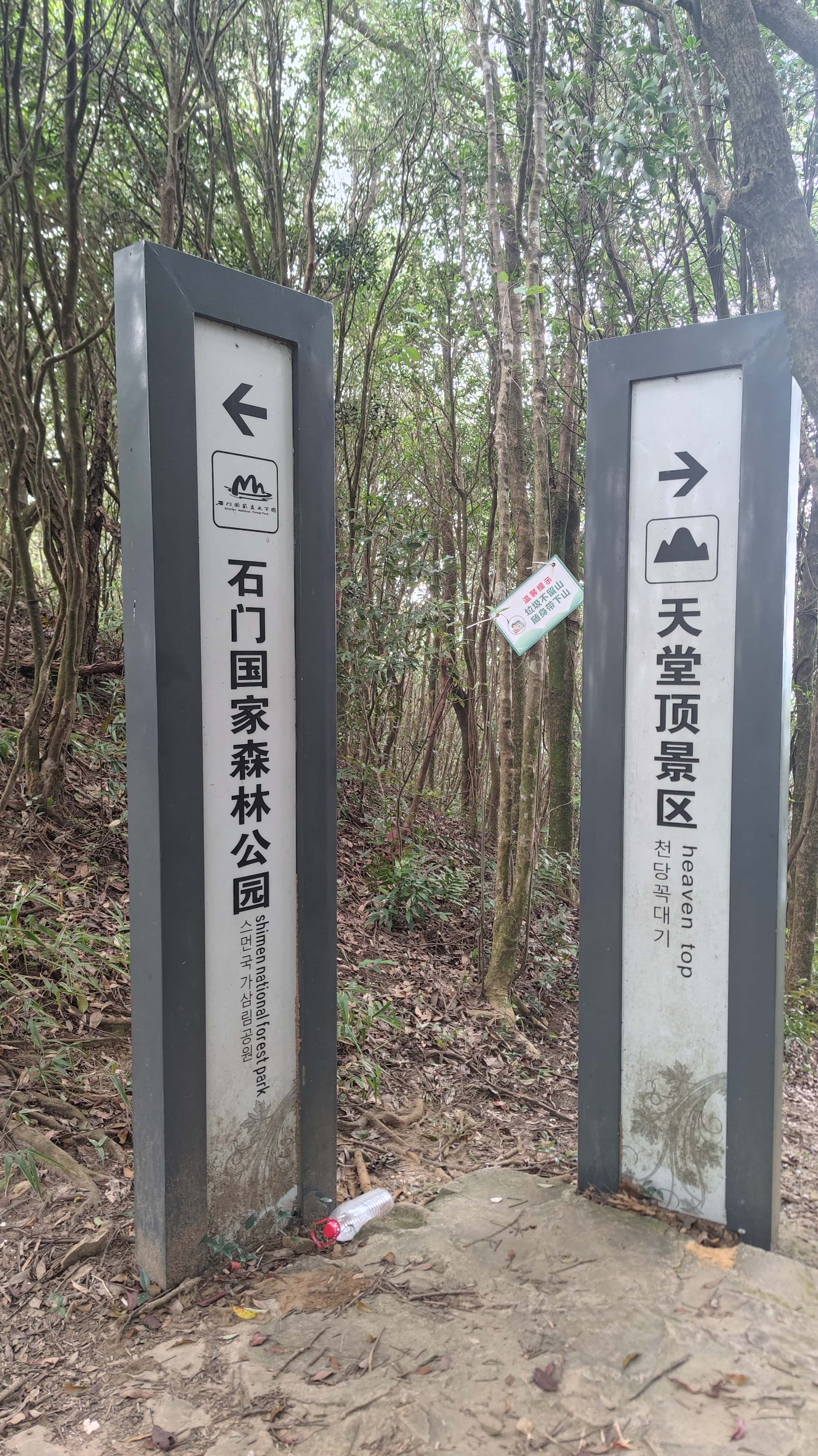 MVIMG_20251012_123316