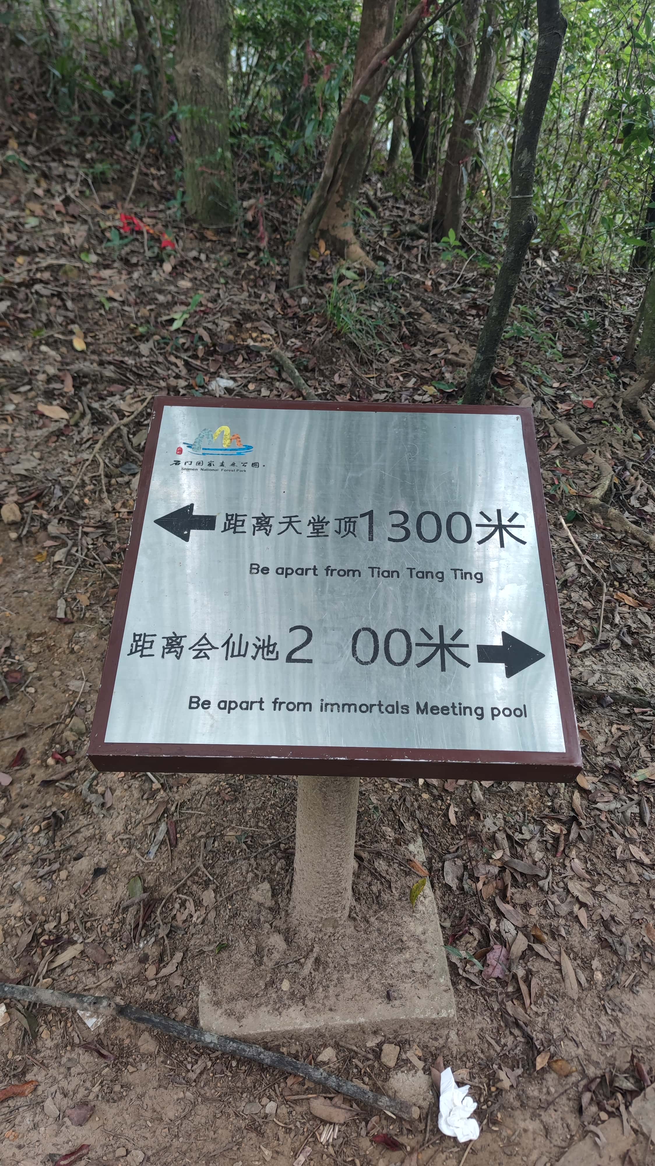 MVIMG_20251012_123327