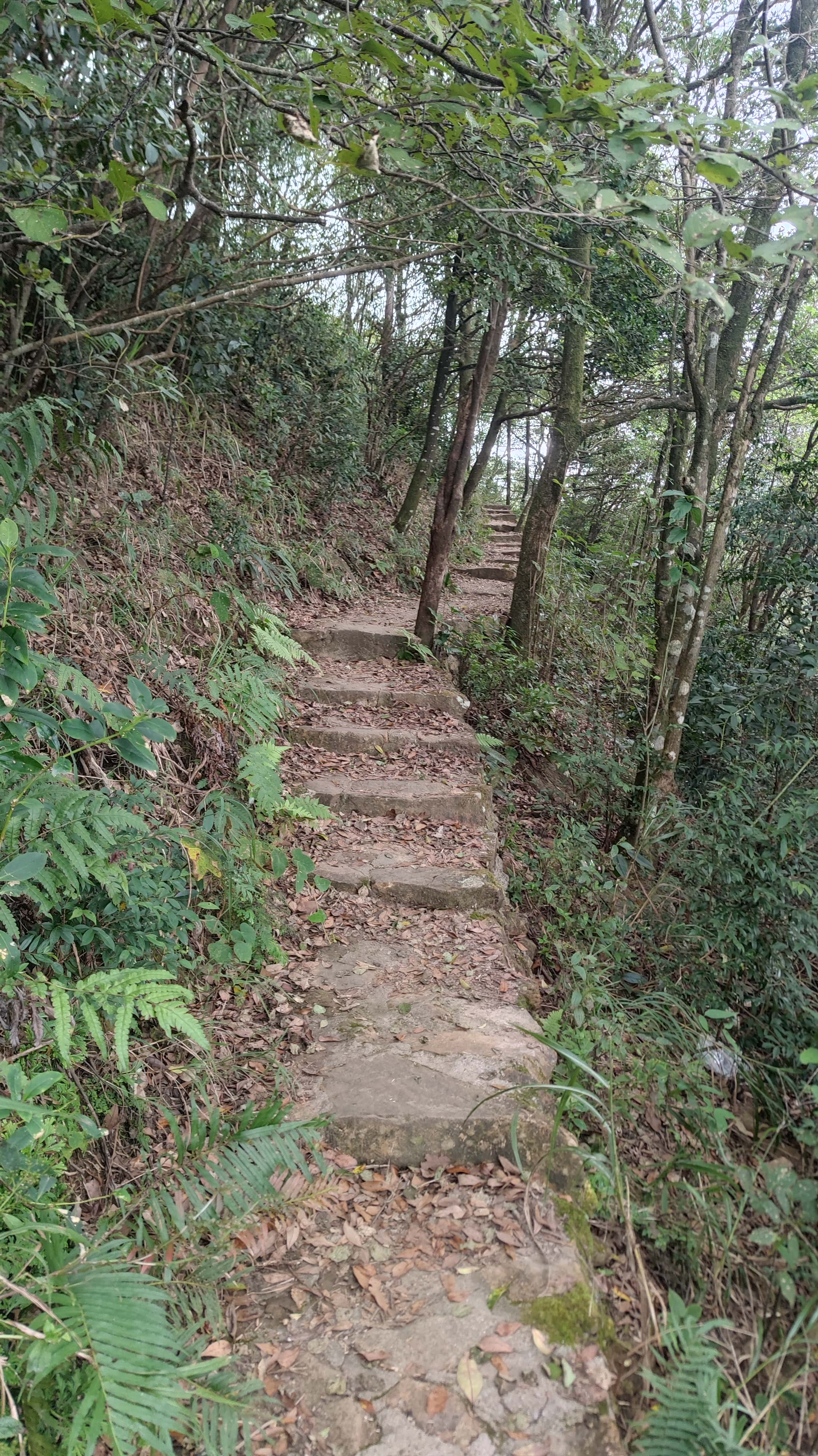 MVIMG_20251012_131430