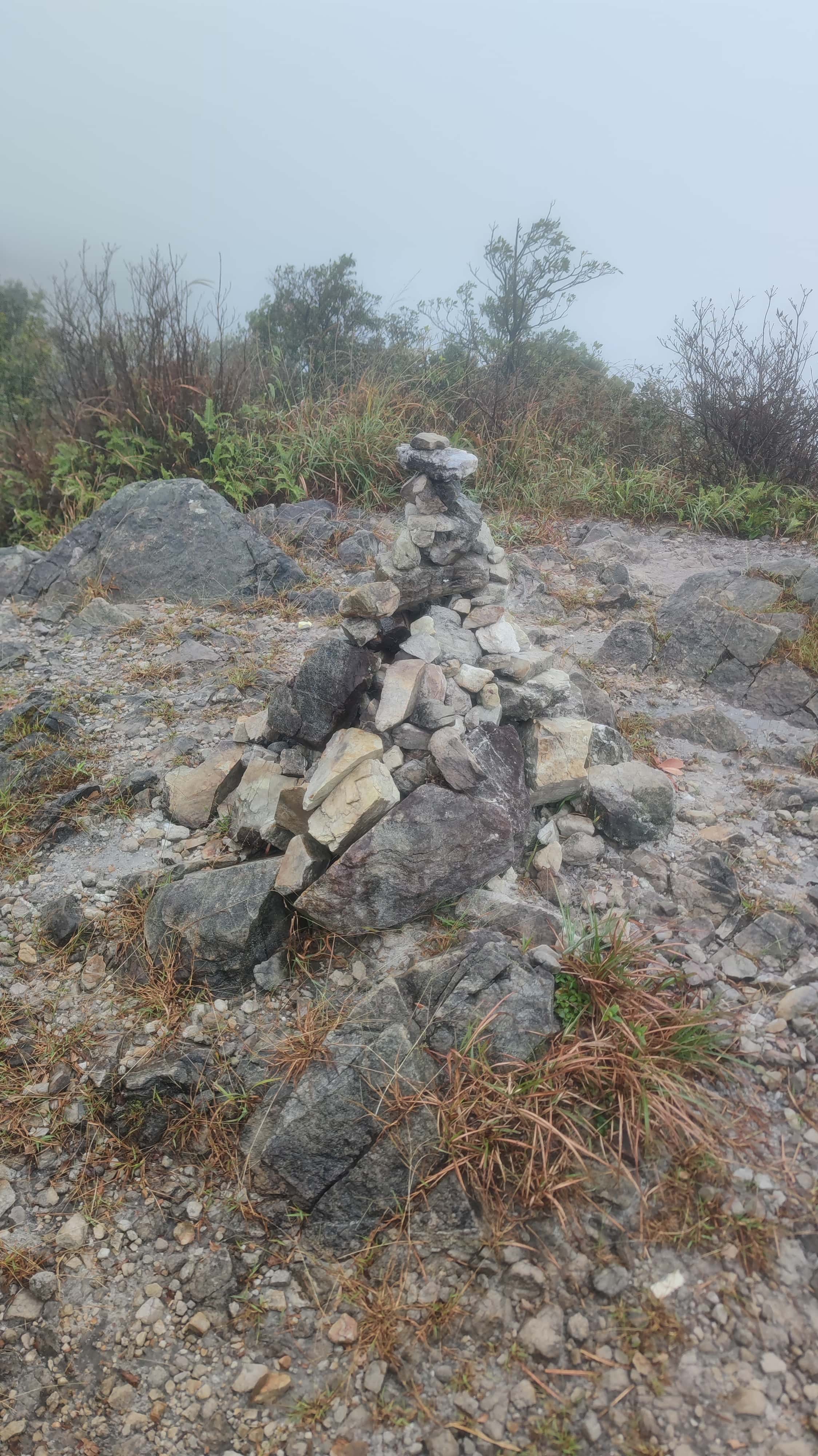 MVIMG_20251012_141735