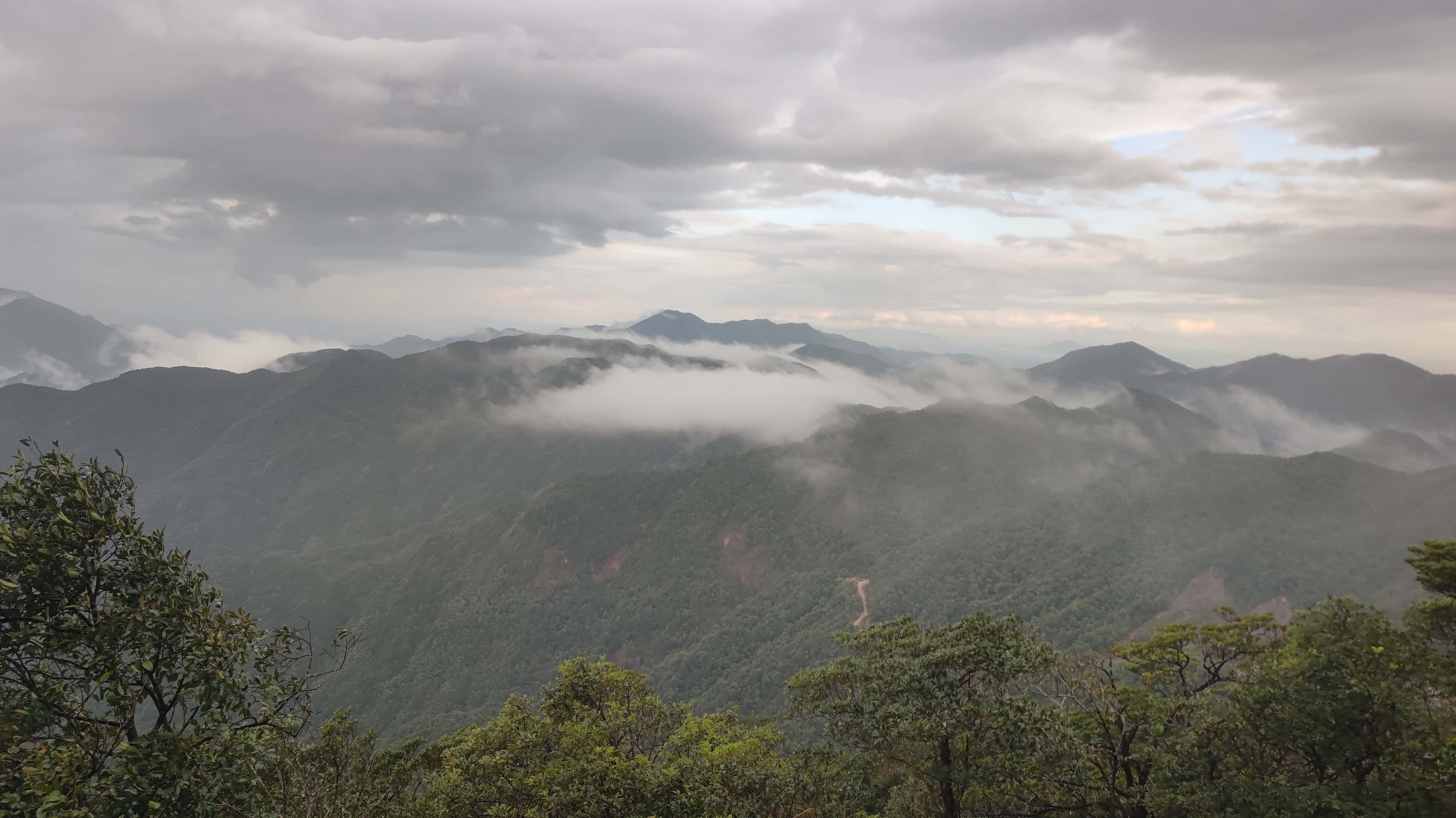 MVIMG_20251012_144202