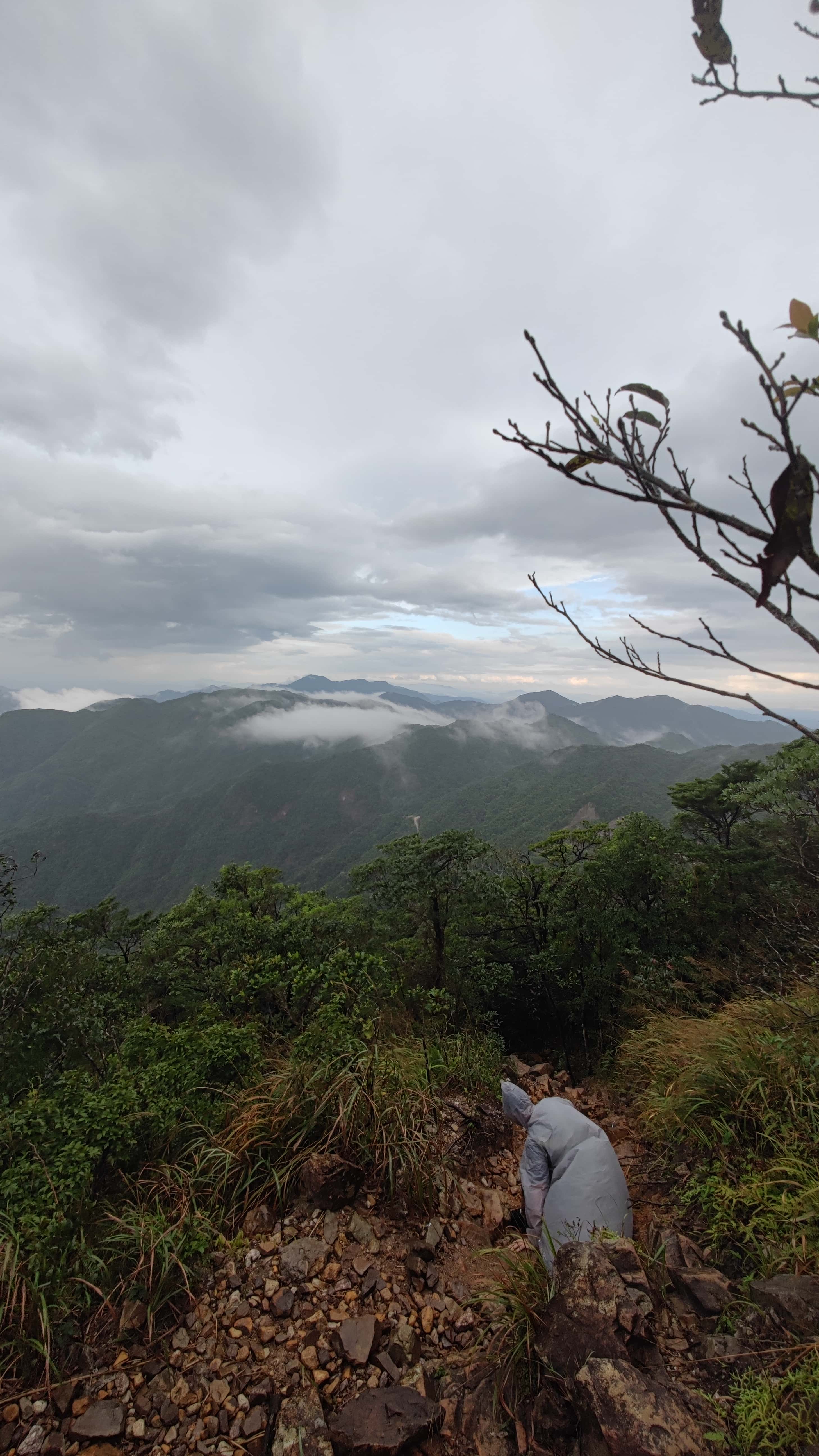 MVIMG_20251012_144250