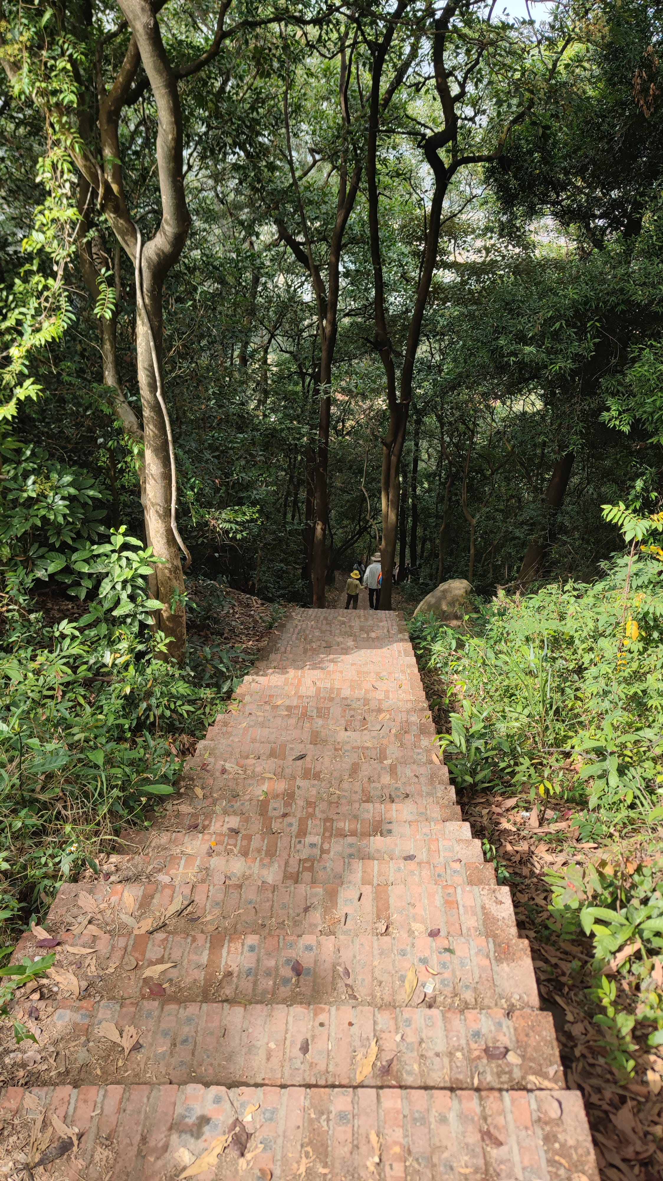 IMG_20251220_122140_1