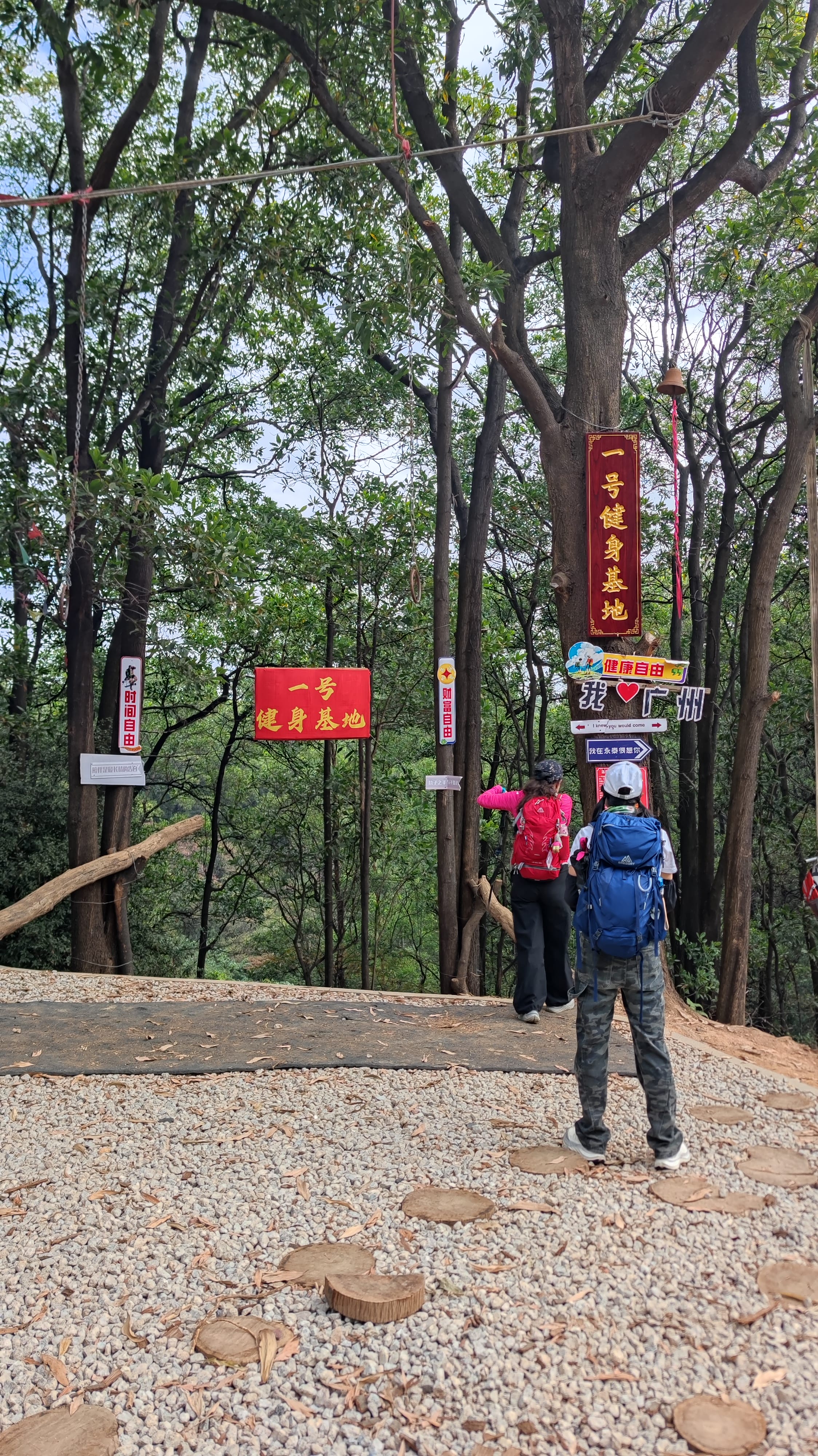 MVIMG_20251220_095753