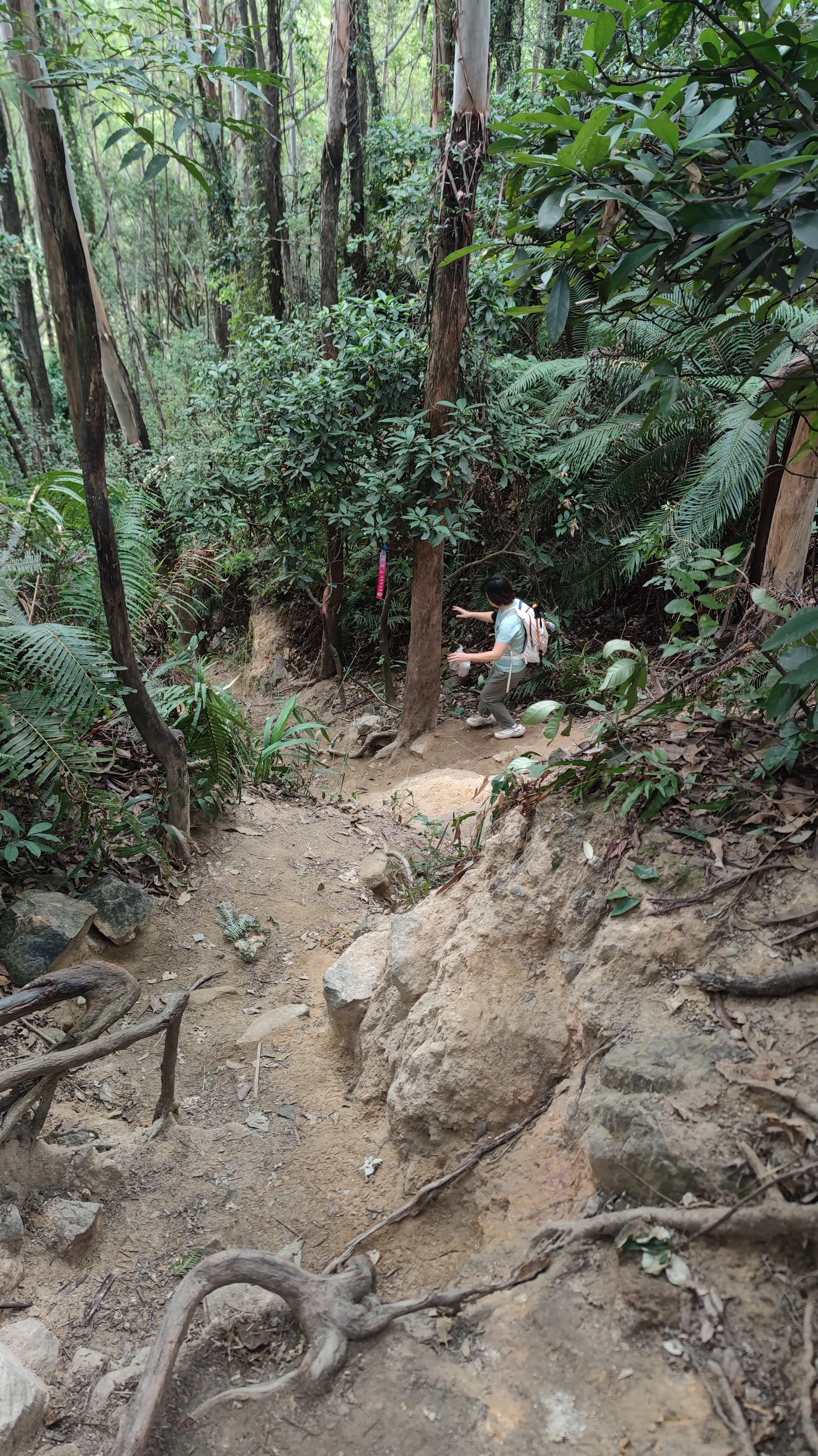 MVIMG_20251220_102155